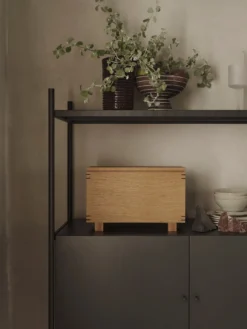 Punctual - Cabinet